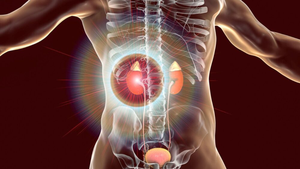 can ozempic cause kidney problems